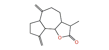 Dihydrodehydrocostus lactone